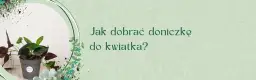 Jak sprawdzić rozmiar doniczki, aby uniknąć błędów przy sadzeniu