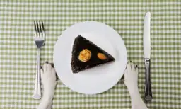 Czy pies może jeść słodycze? Sprawdź, dlaczego to niebezpieczne dla psa