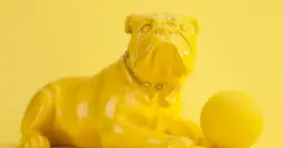 Najlepsze animacje 2025: Co nowego w świecie bajek?