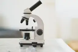 Kto wynalazł mikroskop? Zaskakujące fakty o jego twórcach