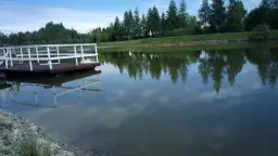 Łowisko specjalne Kamieniec - wszystko, co musisz wiedzieć przed wizytą