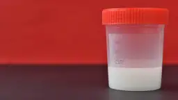 Bank spermy: ile realnie można zarobić na regularnym oddawaniu nasienia