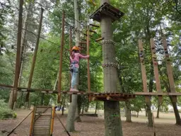 Park Linowy Czaplinek - najlepsze atrakcje i informacje dla odwiedzających