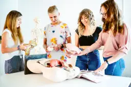 Fizjoterapia co na maturze: niezbędne przedmioty do studiów