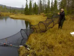 Jak prawidłowo zastawić żak na ryby i złowić więcej w zgodzie z prawem