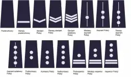 Wszystkie stopnie w policji: kompletna lista policyjnych rang służbowych