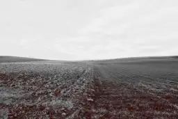 Jak wyłączyć grunty z produkcji rolnej i uniknąć niepotrzebnych problemów