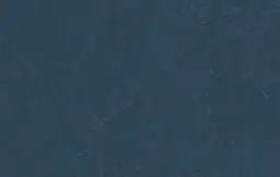 Najlepsze atrakcje w Środzie Wielkopolskiej, które musisz zobaczyć