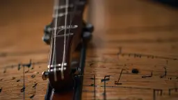 Akord D od A do Z: kompletny przewodnik po budowie i zastosowaniu