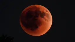 Co oznacza krwawy księżyc? Odkrywamy tajemnice tego zjawiska