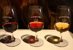 Porto atrakcje: odkryj najpiękniejsze miejsca, których nie zobaczysz