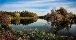 Spływy kajakowe Spała – najlepsze trasy, ceny i porady dla początkujących