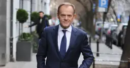 Czy Tusk zna niemiecki? Oto zaskakujące fakty o jego językowych umiejętnościach