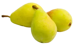 Czy gruszki są zdrowe? Poznaj 7 właściwości leczniczych tego owocu