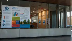 Kontakt Czyste Powietrze Siedlce: Gdzie szukać wsparcia i informacji