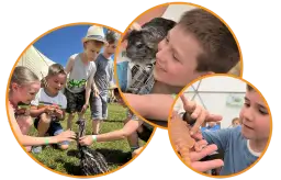 Borysew atrakcje: Odkryj najciekawsze miejsca i unikalne doświadczenia