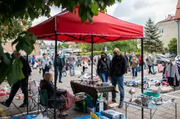 Od pchlich targów do filmowych planów: Jak bazary i targowiska inspirują kinematografię
