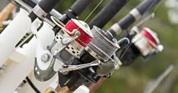 żyłka czy plecionka na karpie - co wybrać, aby nie stracić ryby?