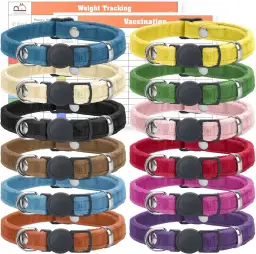 Obroże dla szczeniąt: jakie są najlepsze i na co zwrócić uwagę przy wyborze?