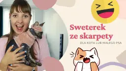 Jak zrobić kotka ze skarpetki – proste instrukcje i kreatywne pomysły