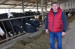 Embriotransfer u bydła: Ile kosztuje i czy się opłaca?