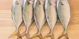 Ile kalorii ma makrela surowa, smażona i wędzona: pełne zestawienie