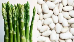 Czy pies może jeść szparagi? Wszystko co musisz wiedzieć o karmieniu