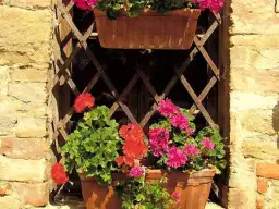 Skuteczne sposoby na przymocowanie skrzynek z kwiatami na okna bez wiercenia