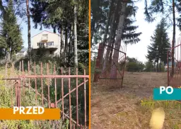 Drzewa na działce budowlanej: przepisy, wycinka i sadzenie