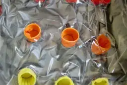 Jak naprawić materac dmuchany i uniknąć kosztownych uszkodzeń