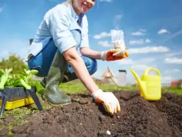 Jakie kwiaty siać w maju, aby cieszyć się pięknym ogrodem?