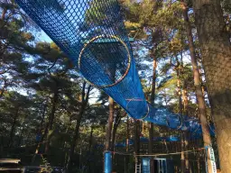 Park linowy w Solec Kujawskim - atrakcje, ceny i lokalizacja