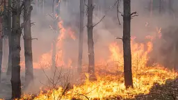 Czy Teneryfa jest bezpieczna? Fakty, zagrożenia i porady dla turystów