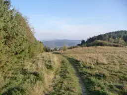 Krynica-Zdrój jakie góry? Odkryj tajemnice Beskidu Sądeckiego i Niskiego