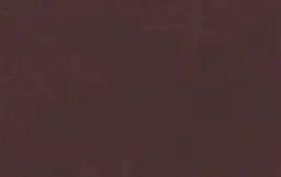 Najciekawsze atrakcje w Chojnie, które musisz zobaczyć