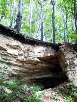 Rezerwat Przyrody Bukowica – co warto wiedzieć przed wizytą i jak uniknąć błędów