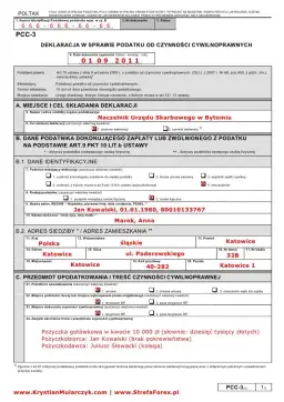 Jak wypełnić PCC-3 pożyczka, aby uniknąć kar podatkowych?