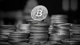 Ile firm zarządzających ETF na Bitcoin faktycznie posiada BTC?