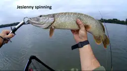 Najlepsza przynęta na szczupaka spinning – unikaj błędów w wyborze