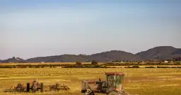 Produkcja integrowana: Korzyści i wyzwania w nowoczesnym rolnictwie