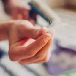 7 skutecznych metod na pozbycie się sierści z ubrań - poradnik