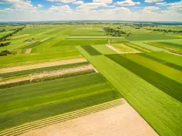Jak sprawdzić numer działki na mapie i uniknąć błędów w ewidencji