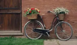 Jakiej marki rower wybrać? porównanie marek, zalety i wady dla każdego budżetu