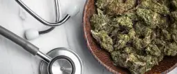 Medyczna marihuana na co? Poznaj najważniejsze zastosowania i korzyści