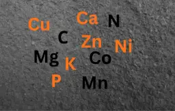 Czy popiół z brykietu torfowego jako nawóz naprawdę działa w ogrodzie?