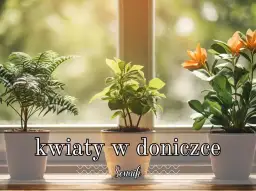 Symbolika zielonego kwiatu w doniczce: co mówi o Twojej przyszłości?