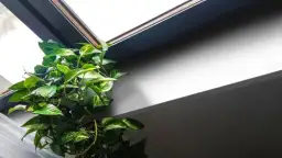 Najlepsze białe parapety wewnętrzne z konglomeratu - porównanie i ceny