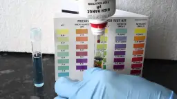 Domowe sposoby na pomiar pH w akwarium - prosty test wody