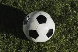 5 mniej znanych polskich sportowców, których warto poznać