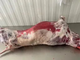 Gdzie kupić baraninę w Warszawie? Sprawdź najlepsze miejsca!